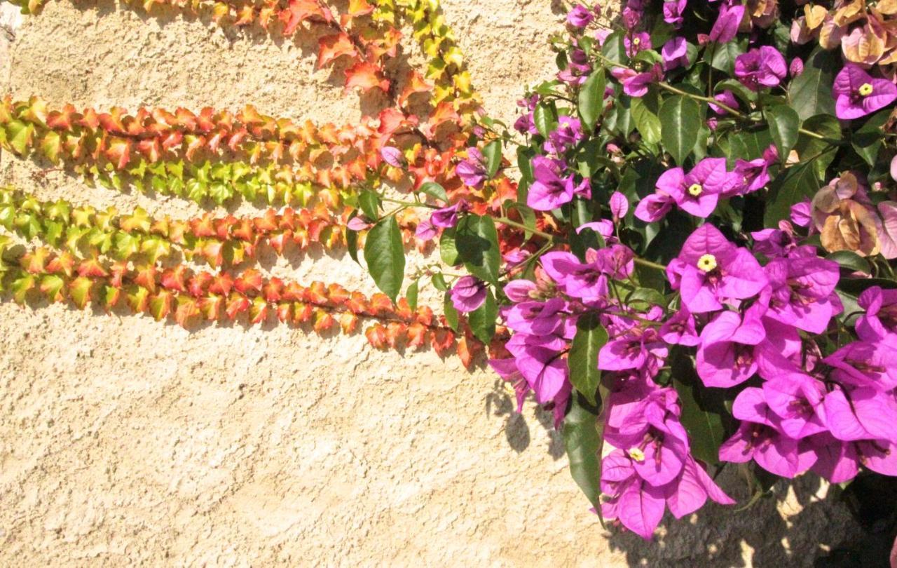 Agriturismo Corte Patrizia Caprino Veronese Buitenkant foto
