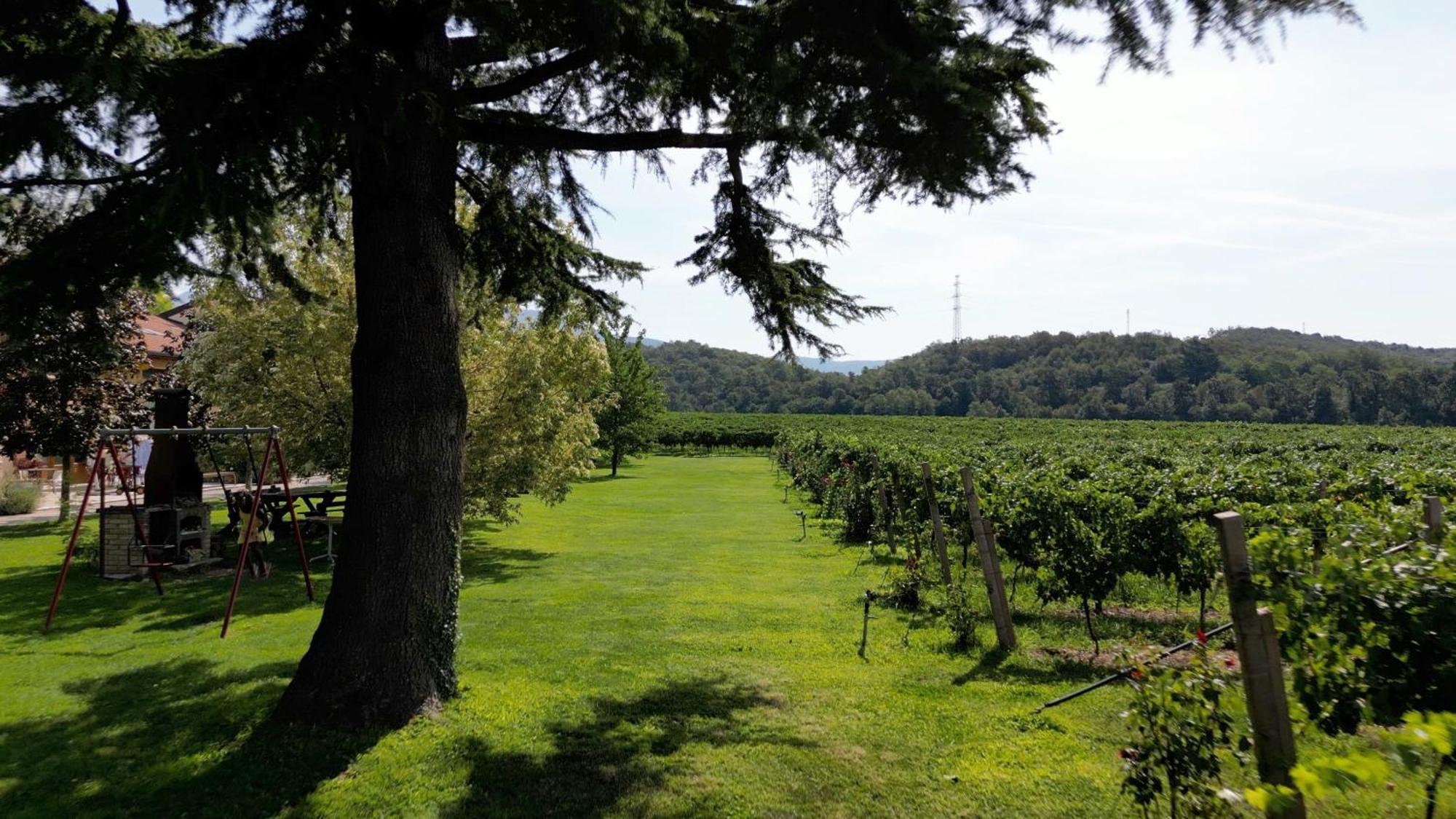 Agriturismo Corte Patrizia Caprino Veronese Buitenkant foto