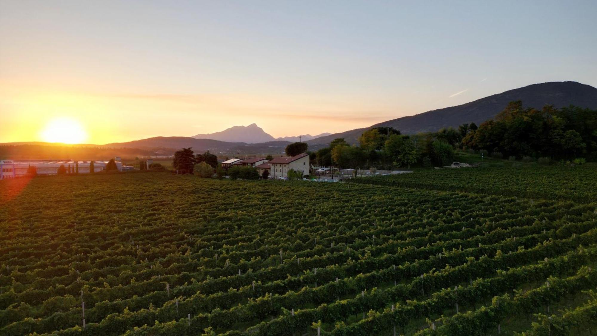 Agriturismo Corte Patrizia Caprino Veronese Buitenkant foto