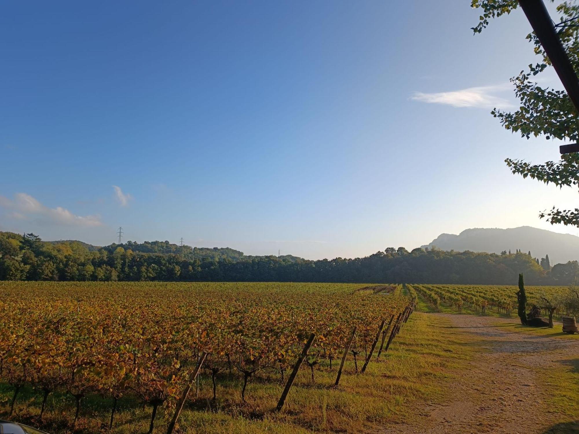 Agriturismo Corte Patrizia Caprino Veronese Buitenkant foto